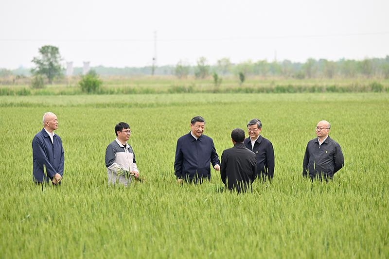 △2023年5月11日，習(xí)近平總書記在河北滄州黃驊市舊城鎮(zhèn)仙莊片區(qū)旱堿地麥田同種植戶、農(nóng)技專家親切交流。