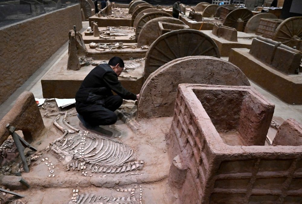 工作人員在殷墟博物館新館的展廳內(nèi)修復(fù)車(chē)馬遺跡（2月23日攝）。