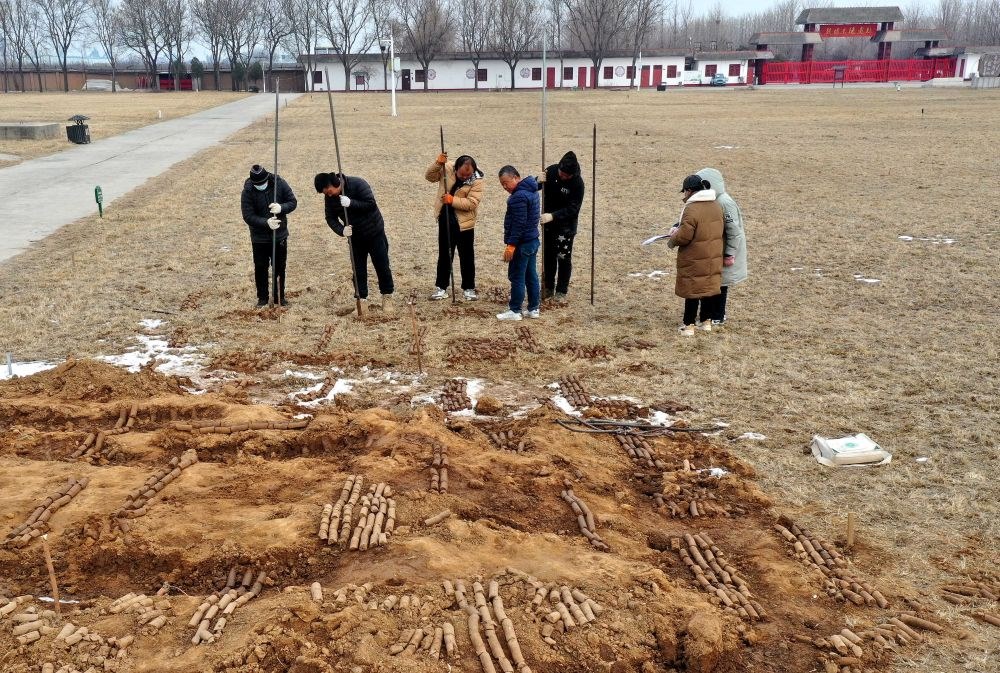 在殷墟王陵遺址，工作人員在勘探圍溝范圍（2月24日攝）。