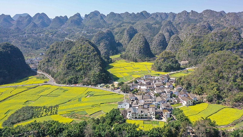 2024年2月17日，貴州省興義市萬峰林景區(qū)的油菜花海景色（無人機(jī)照片）。