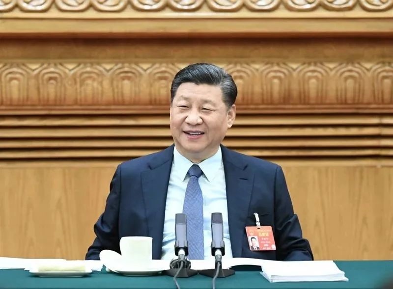 2019年3月8日，習(xí)近平參加十三屆全國(guó)人大二次會(huì)議河南代表團(tuán)的審議。新華社記者 謝環(huán)馳 攝