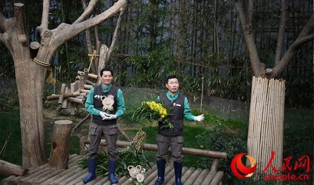 熊貓飼養(yǎng)員姜哲遠和宋永寬向媒體介紹為“福寶”準備的送別禮物。人民網 李帆攝