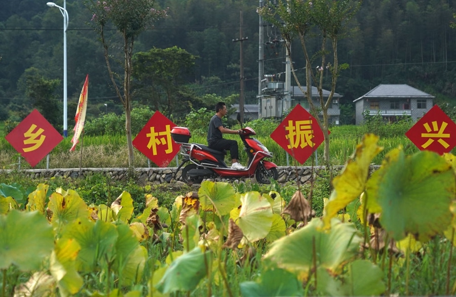 2023年8月24日拍攝的江西省靖安縣璪都鎮(zhèn)港背村一景。該村在當(dāng)?shù)卣С窒拢薰沤?，建民宿，搞開發(fā)，引進竹筏漂流、觀光采摘、農(nóng)耕體驗、森林研學(xué)等多種旅游業(yè)態(tài)，建成新田園生態(tài)度假小鎮(zhèn)，發(fā)展鄉(xiāng)村旅游，走上致富路。