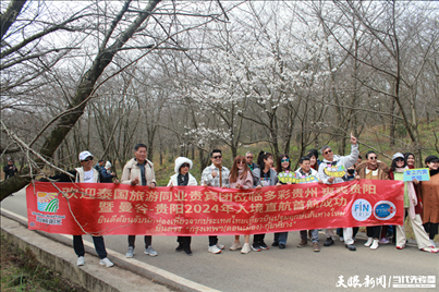 首個(gè)泰國(guó)入境旅游團(tuán)打卡貴安櫻花園。