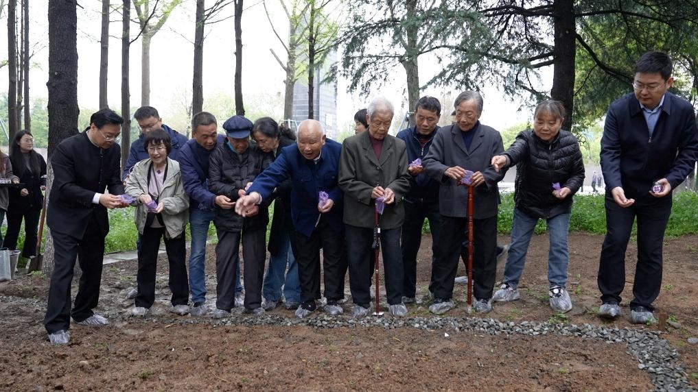 南京大屠殺幸存者代表、死難者遺屬代表等在紀(jì)念館的和平公園里，播撒下紫金草的種子。新華社記者林凱 攝