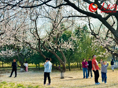 游客在北京長陽公園賞花。人民網記者 劉微攝