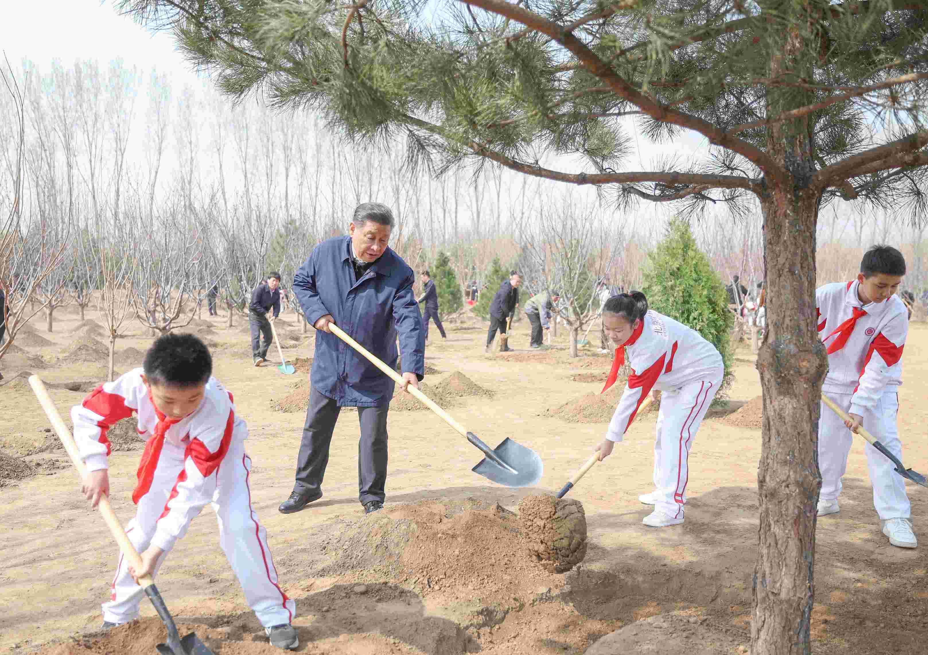 2024年4月3日，習(xí)近平總書記來到北京市通州區(qū)潞城鎮(zhèn)參加首都義務(wù)植樹活動(dòng)。