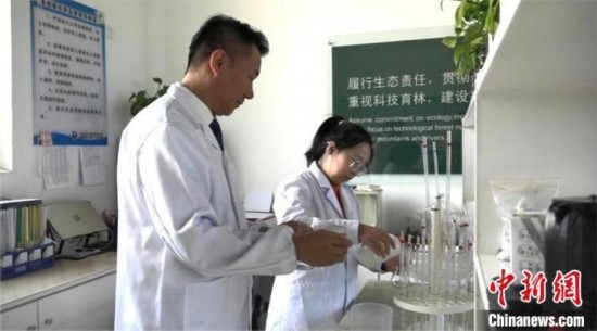 圖為王佐(左一)在廠區(qū)實(shí)驗(yàn)室內(nèi)工作。白先森 攝