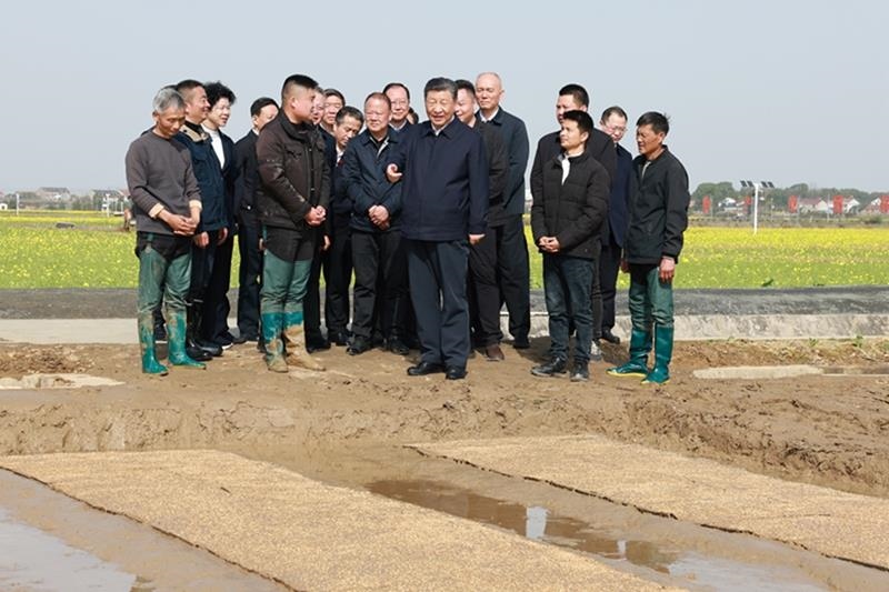 △2024年3月19日，在湖南常德市鼎城區(qū)謝家鋪鎮(zhèn)港中坪村，習(xí)近平總書記走進(jìn)田間，察看秧苗培育和春耕備耕進(jìn)展。
