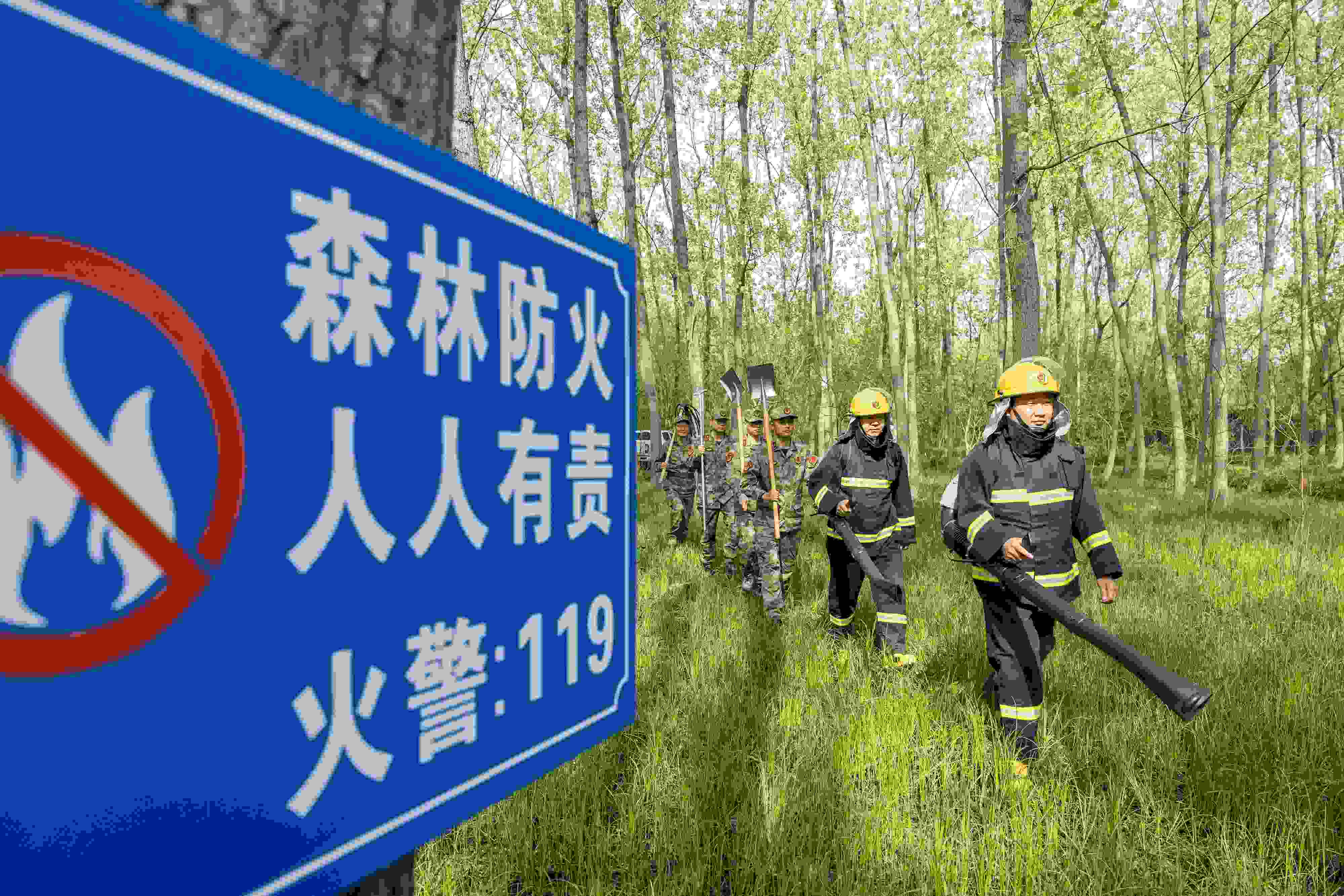 2024年4月9日，合肥市大房郢水庫(kù)水源保護(hù)地廬陽(yáng)經(jīng)濟(jì)開發(fā)區(qū)段，基干民兵正在林間巡查火災(zāi)隱患。