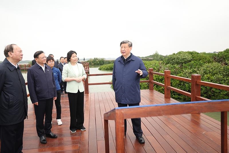△2023年4月10日，習(xí)近平總書記在廣東湛江市麻章區(qū)湖光鎮(zhèn)金牛島紅樹林片區(qū)考察。