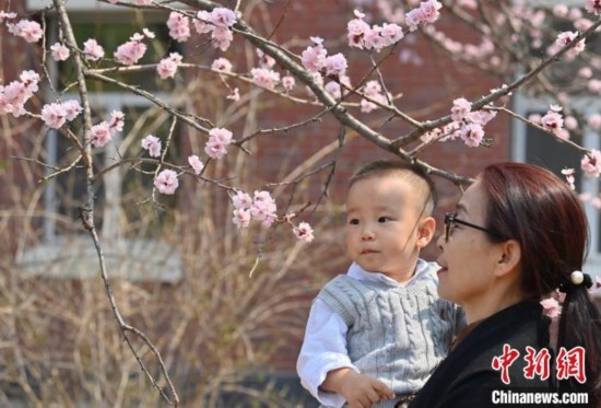 4月21日，游客在吉林大學(xué)南嶺校區(qū)賞花。張瑤 攝
