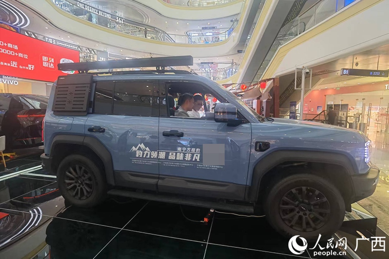 消費(fèi)者在商場選購汽車。人民網(wǎng)記者 陳燕攝
