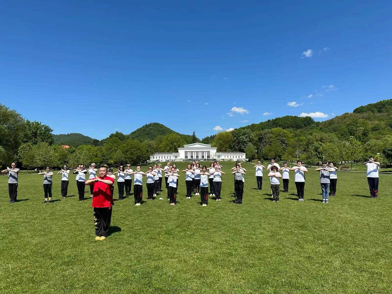 北京體育大學教授武冬帶領學員進行太極拳演練。布加勒斯特中國文化中心供圖