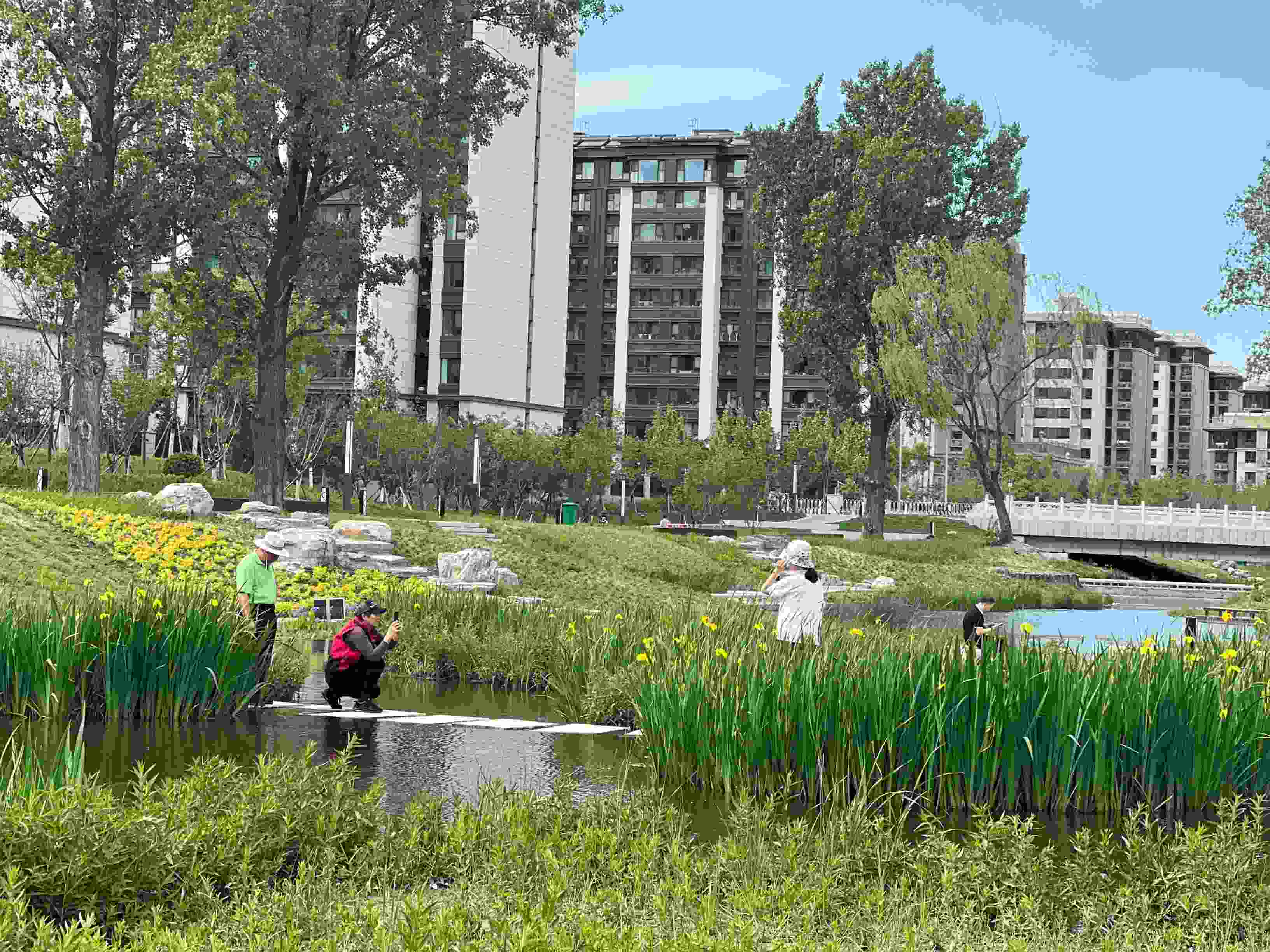 五一渠生態(tài)濱河公園內(nèi)，市民正在拍照留念。人民網(wǎng) 歐陽(yáng)易佳攝