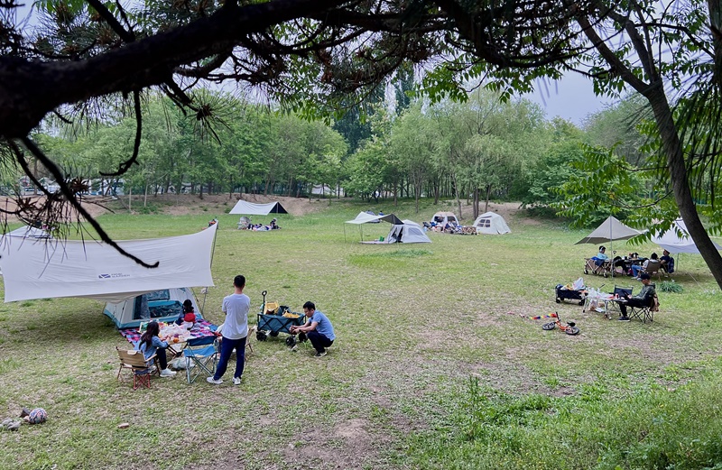 “自駕+露營(yíng)”等多元模式受熱捧。人民網(wǎng)記者 王連香攝