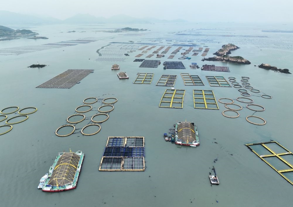 在福建連江定海灣海域，坐落著“定海灣1號(hào)”“定海灣2號(hào)”等深遠(yuǎn)海養(yǎng)殖平臺(tái)（2024年5月7日攝，無人機(jī)照片）。新華社記者 林善傳 攝