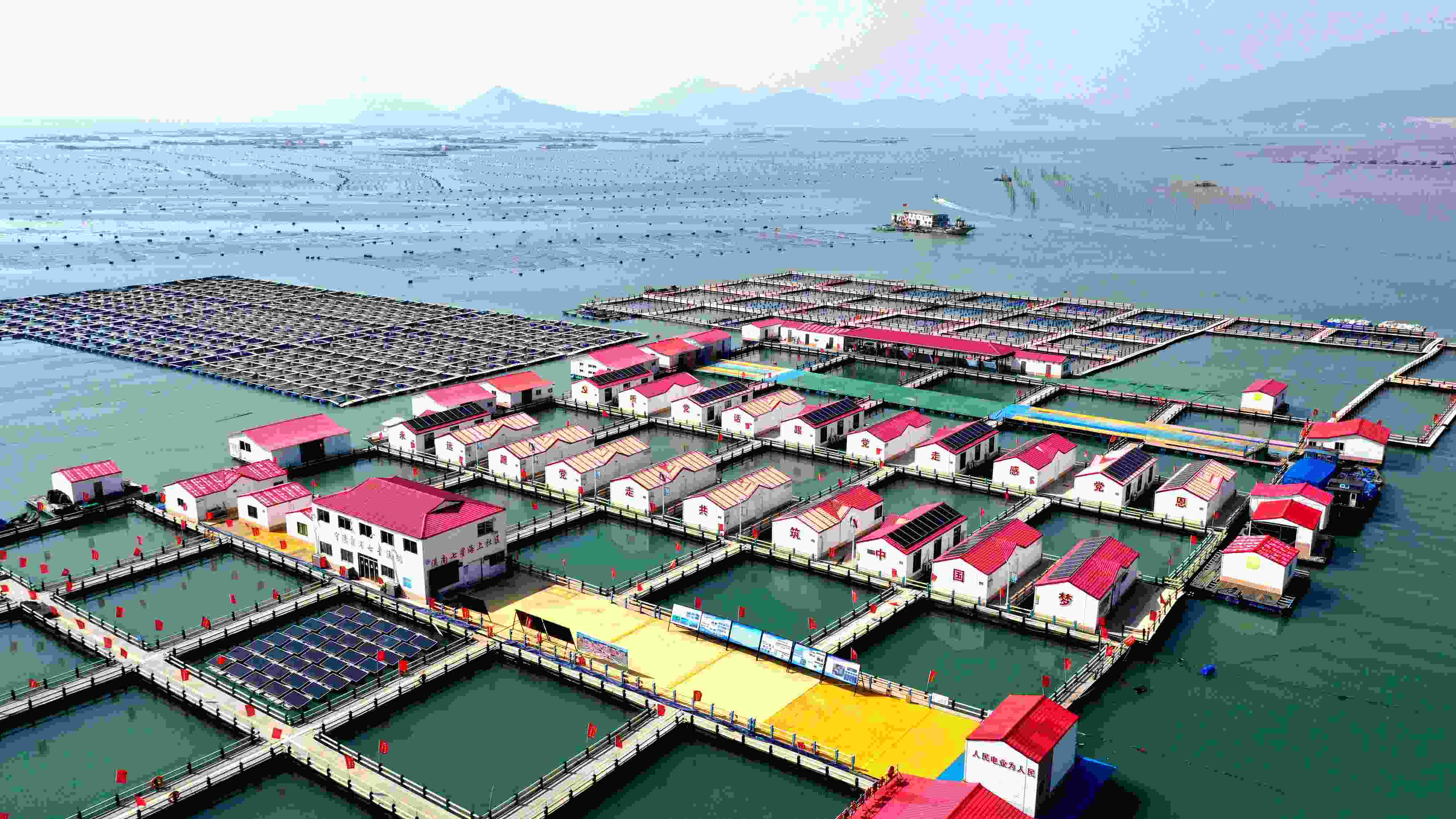 2024年3月20日，福建省寧德市，霞浦縣溪南鎮(zhèn)七星村漁排養(yǎng)殖示范區(qū)，漁民駕駛養(yǎng)殖船進行海參養(yǎng)殖作業(yè)。