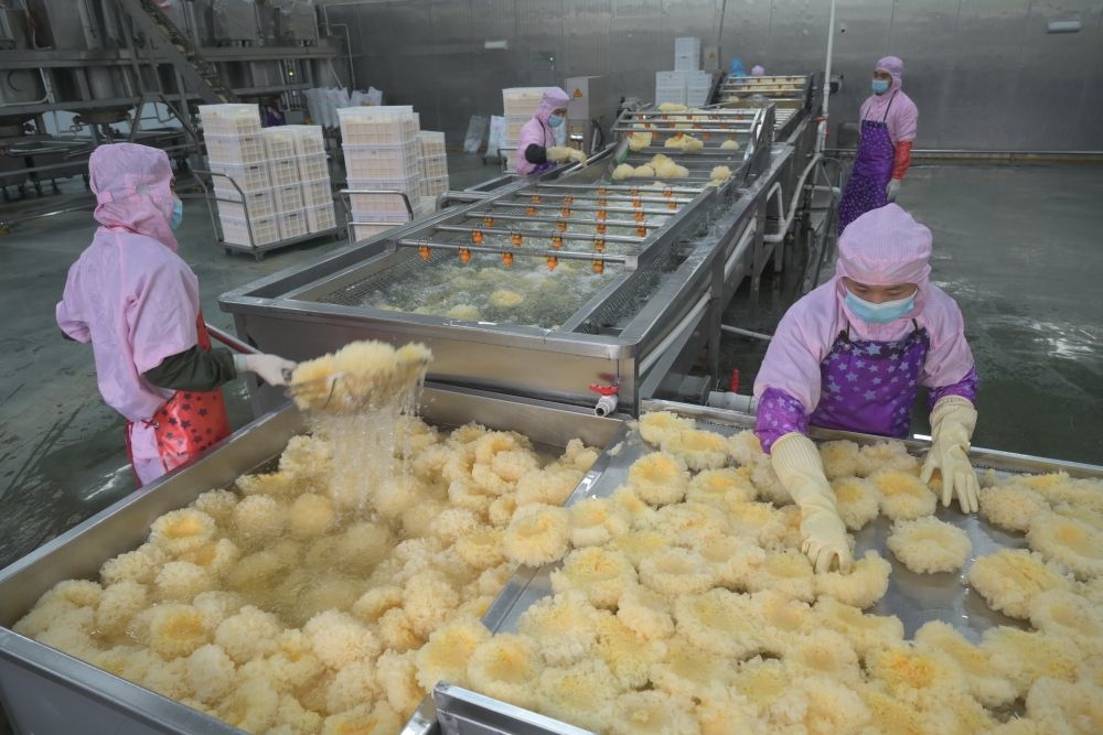 2024年5月10日，在福建省寧德市古田縣，一家食品公司的工作人員在挑選清洗銀耳。新華社記者 林善傳 攝