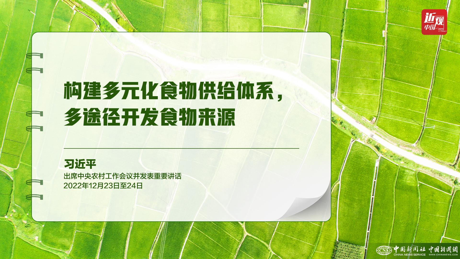 習近平：樹立大食物觀，構建多元化食物供給體系