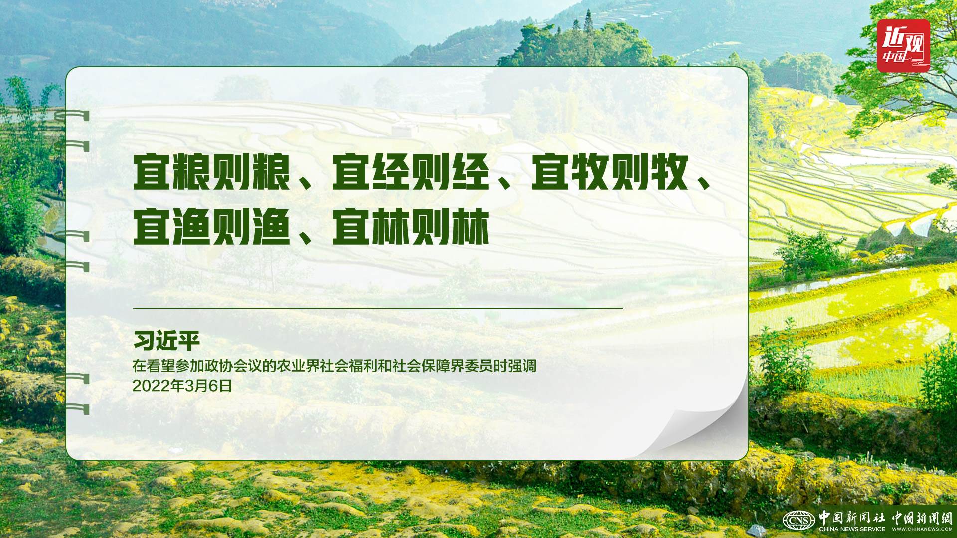 習近平：樹立大食物觀，構建多元化食物供給體系
