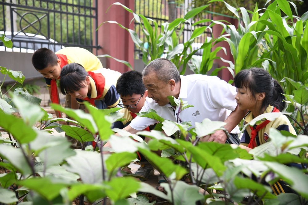 5月31日，老師帶領(lǐng)學(xué)生在之江小學(xué)勞動實(shí)踐基地學(xué)習(xí)蔬菜知識。新華社記者 胥冰潔 攝