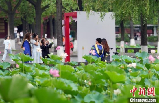 6月19日，時值一年畢業(yè)季，四川大學望江校區(qū)荷花池里的荷花盛開，成為了畢業(yè)生們的打卡圣地，吸引了眾多畢業(yè)生拍照留念。圖為畢業(yè)生在荷花池邊拍照留念。中新社記者 安源 攝