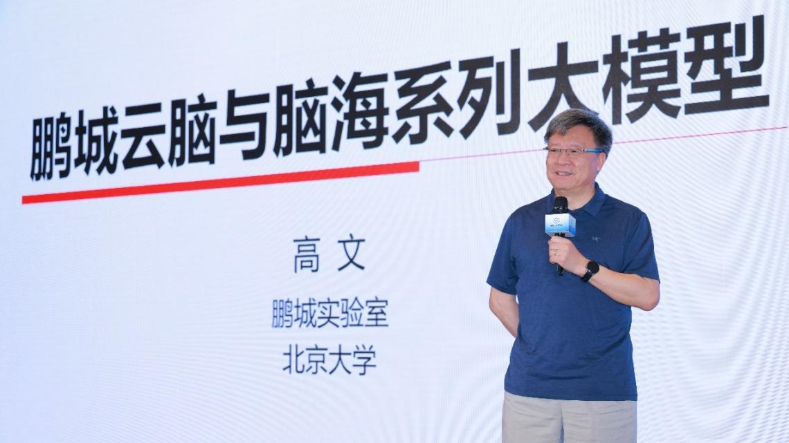 高文院士做大會特邀報告。主辦方供圖