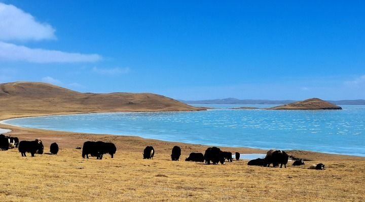 在三江源國家公園黃河源園區(qū)拍攝的扎陵湖風(fēng)光（2022年3月12日攝）。新華社記者 呂雪莉 攝