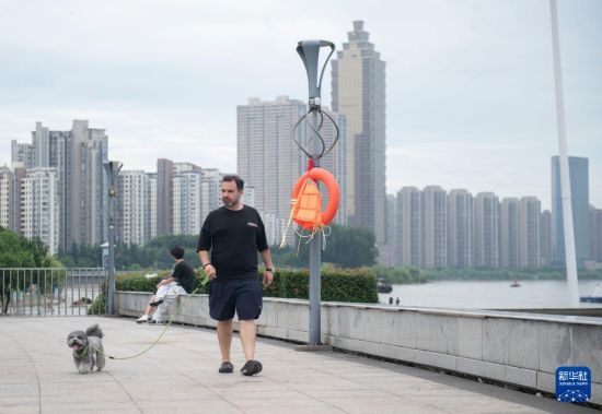 7月20日，在安徽蕪湖市，馬丁在長江邊遛狗。新華社記者 傅天 攝