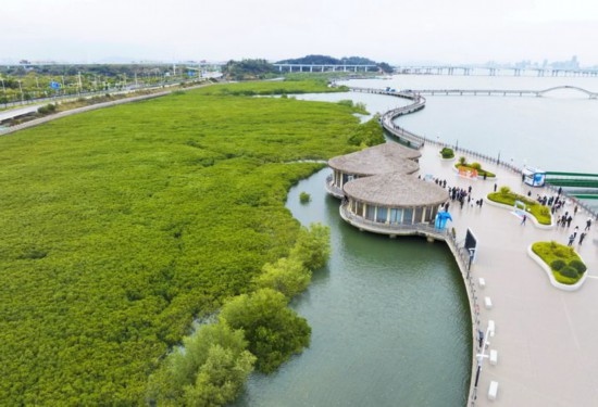 2024年1月23日拍攝的廈門市翔安區(qū)下潭尾紅樹林公園（無人機(jī)照片）。新華社記者 林善傳 攝