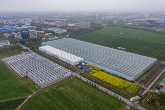 2024年3月28日，空中俯瞰嘉興南湖區(qū)湘家蕩農(nóng)業(yè)數(shù)字化工廠（無人機(jī)照片）。該農(nóng)業(yè)數(shù)字化工廠占地總面積約62畝，包含智慧農(nóng)業(yè)生產(chǎn)、物聯(lián)網(wǎng)智能管理、自動分揀包裝、保鮮儲藏物流、高科技示范展示等五大功能區(qū)，可直接或間接培養(yǎng)帶動新型職業(yè)技術(shù)農(nóng)民500人以上。新華社記者 徐昱 攝