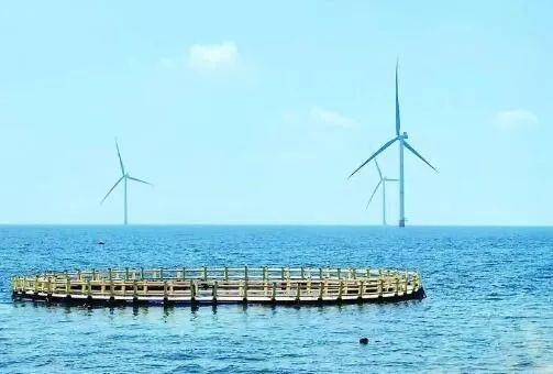 △山東萊州風(fēng)電項(xiàng)目實(shí)現(xiàn)了海上風(fēng)電和海洋牧場(chǎng)融合發(fā)展。