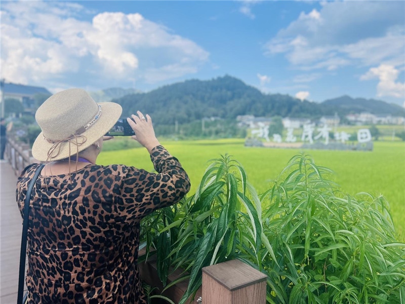 “我在花茂有塊田”，不僅是中國(guó)人的詩和遠(yuǎn)方，也是塔吉克斯坦“阿維斯塔”通訊社總編輯占納特洪·庫(kù)爾班諾娃的“烏托邦”。（張亞欣攝）