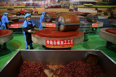 工人用電動(dòng)石碾加工辣椒面。新華社記者 范培珅 攝
