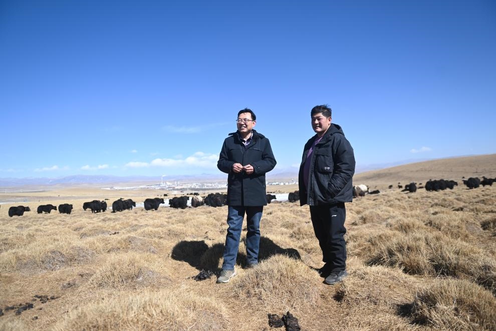 2023年2月24日，在青海省海北藏族自治州海晏縣青海湖鄉(xiāng)達(dá)玉日秀村，全國(guó)人大代表董全民（左）查看牧民東知布家的草場(chǎng)。新華社記者 張龍 攝
