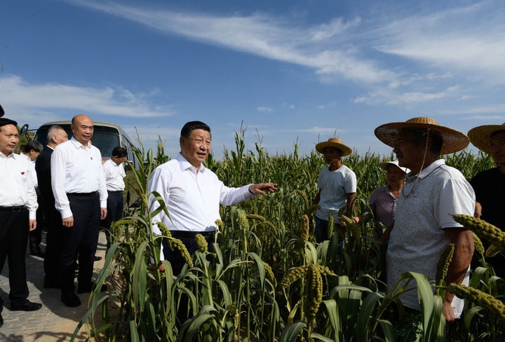 2021年9月13日至14日，中共中央總書記、國家主席、中央軍委主席習(xí)近平在陜西省榆林市考察。這是13日下午，習(xí)近平在米脂縣銀州街道高西溝村臨時(shí)下車，察看糧食作物長勢，同正在田間勞作的老鄉(xiāng)拉家常。新華社記者 李學(xué)仁 攝