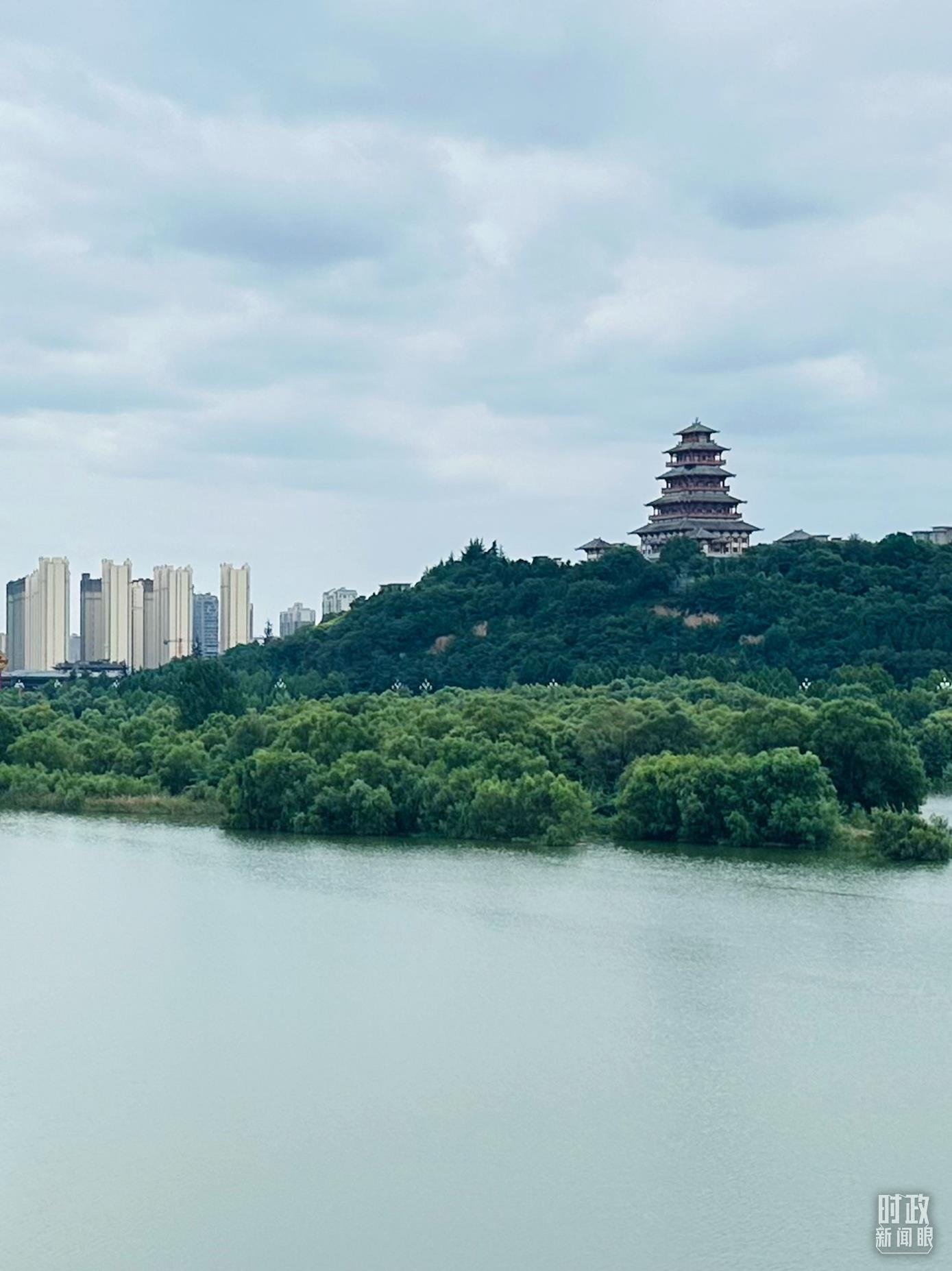 △渭河寶雞段長224公里，目前建成17處渭河灘區(qū)生態(tài)涵養(yǎng)區(qū)。（總臺央視記者范一鳴拍攝）