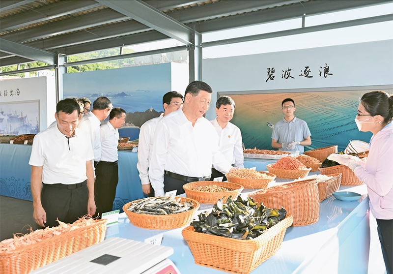 2024年10月15日至16日，中共中央總書記、國家主席、中央軍委主席習近平在福建考察。這是15日下午，習近平在漳州市東山縣陳城鎮(zhèn)澳角村考察時，了解海鮮干貨和漁獲產品交易情況。 新華社記者 謝環(huán)馳/攝