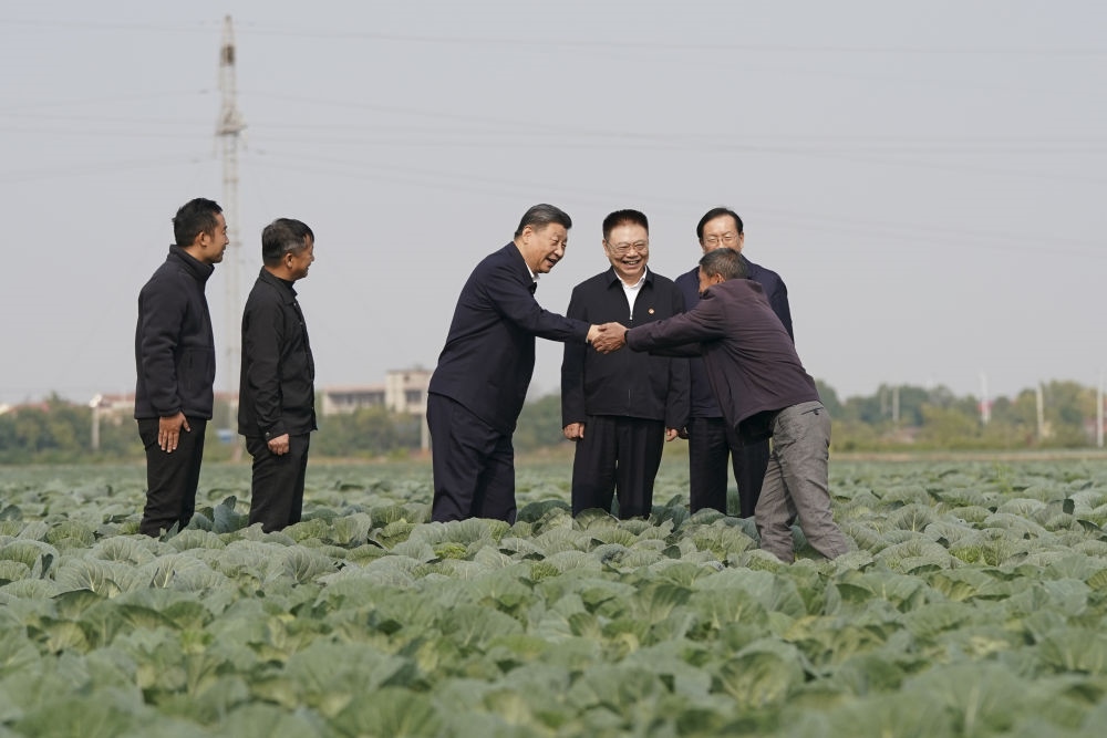 2024年11月5日，習近平在咸寧市嘉魚縣潘家灣鎮(zhèn)十里蔬菜長廊考察時，同菜農(nóng)親切交流。