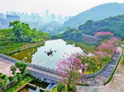 無(wú)人機(jī)在深圳塘朗山郊野公園里巡檢。新華社發(fā)