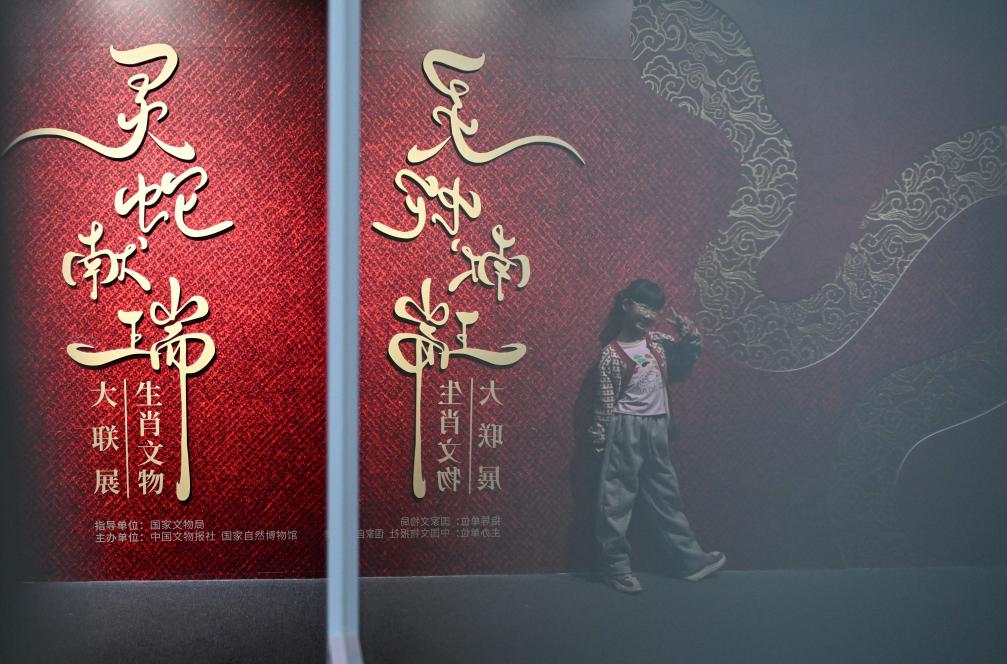 1月18日，一名小朋友在國(guó)家自然博物館舉辦的“靈蛇獻(xiàn)瑞——2025乙巳蛇年生肖文物大聯(lián)展”展覽中拍照留念。（新華社記者 陳鐘昊 攝）