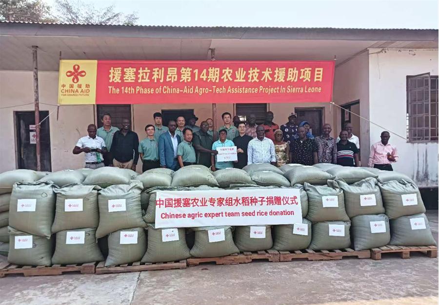 中國援塞拉利昂農業(yè)專家組在塞南方省博城舉辦水稻種子捐贈儀式。中國援塞農業(yè)專家組供圖