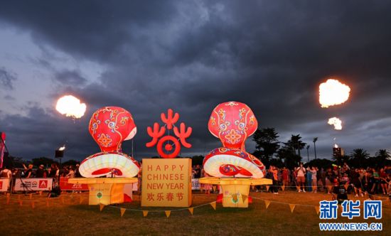 圖為游客在2025年奧克蘭元宵燈節(jié)游覽。（圖片由奧克蘭中國文化中心提供）
