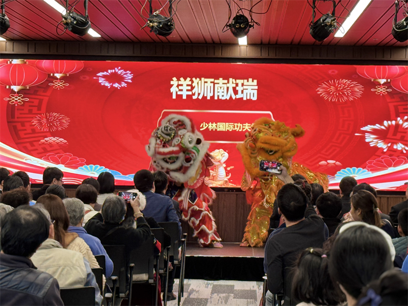 活動(dòng)現(xiàn)場(chǎng)舞獅表演。主辦方供圖