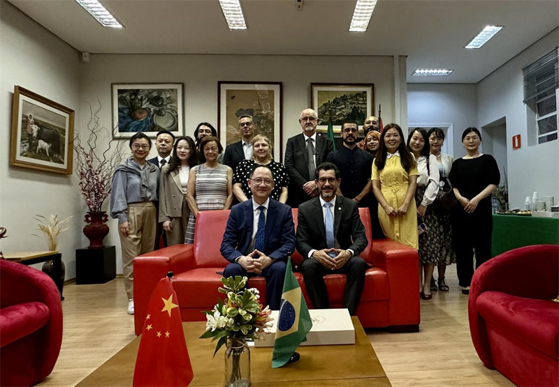 圖為參加座談會(huì)的來賓合影留念。 圣保羅州立大學(xué)孔子學(xué)院供圖