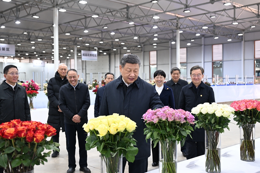 △3月19日下午，習(xí)近平總書記在云南麗江現(xiàn)代花卉產(chǎn)業(yè)園展廳考察時(shí)，察看鮮切花品種展示。