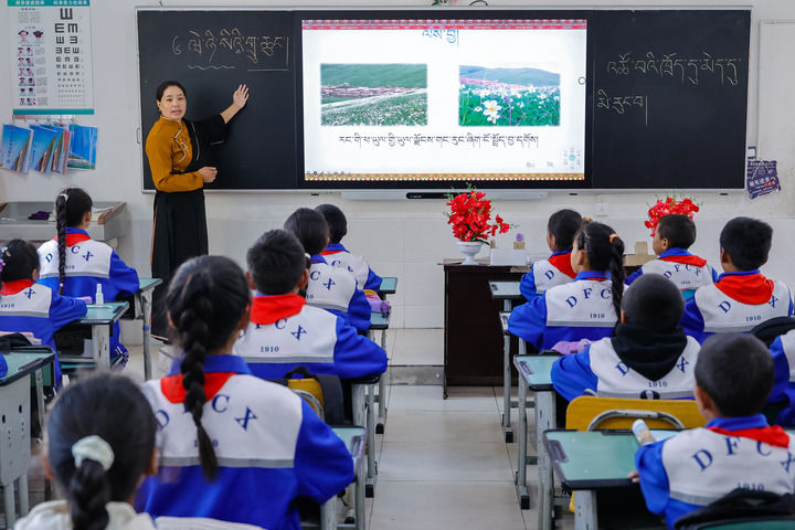 2024年9月27日，在四川省甘孜藏族自治州道孚縣城關(guān)第一完全小學，采取“藏加模式”教學的五年級一班的藏語文課上，準木周老師指導藏族學生以家鄉(xiāng)草原風物為主題寫作藏語文作文。新華社記者 沈伯韓 攝